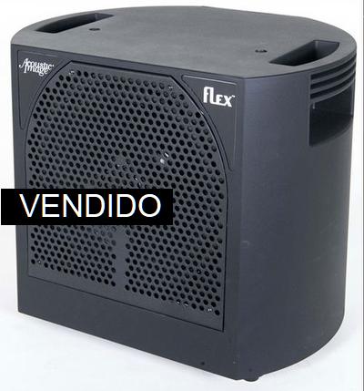 Acoustic Image FLEX Triamp cab
